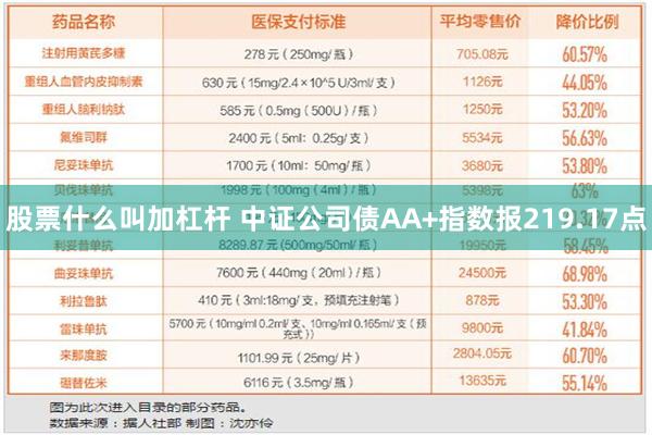 股票什么叫加杠杆 中证公司债AA+指数报219.17点