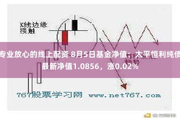 专业放心的线上配资 8月5日基金净值：太平恒利纯债最新净值1.0856，涨0.02%