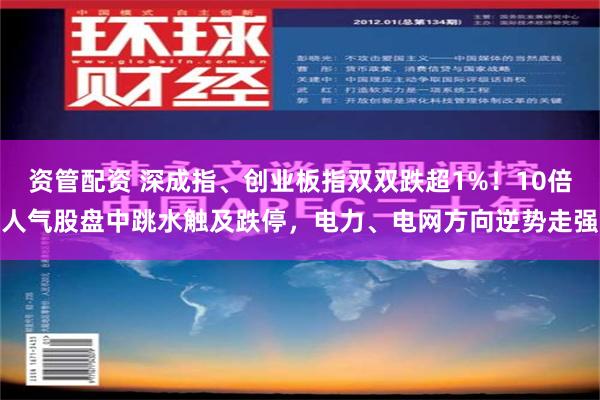 资管配资 深成指、创业板指双双跌超1%！10倍人气股盘中跳水触及跌停，电力、电网方向逆势走强