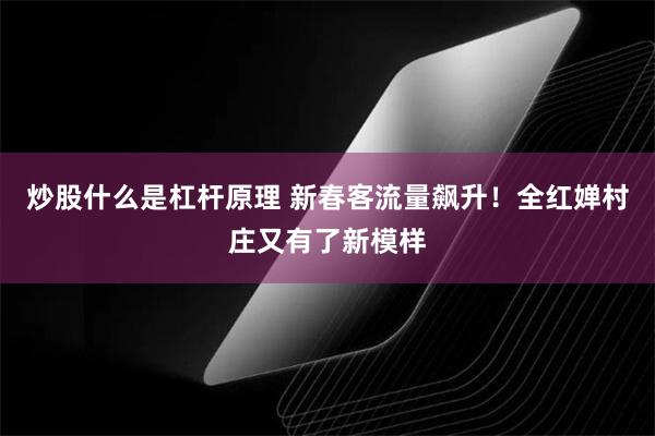 炒股什么是杠杆原理 新春客流量飙升！全红婵村庄又有了新模样